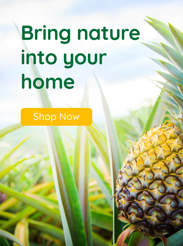 Bring nature into your home